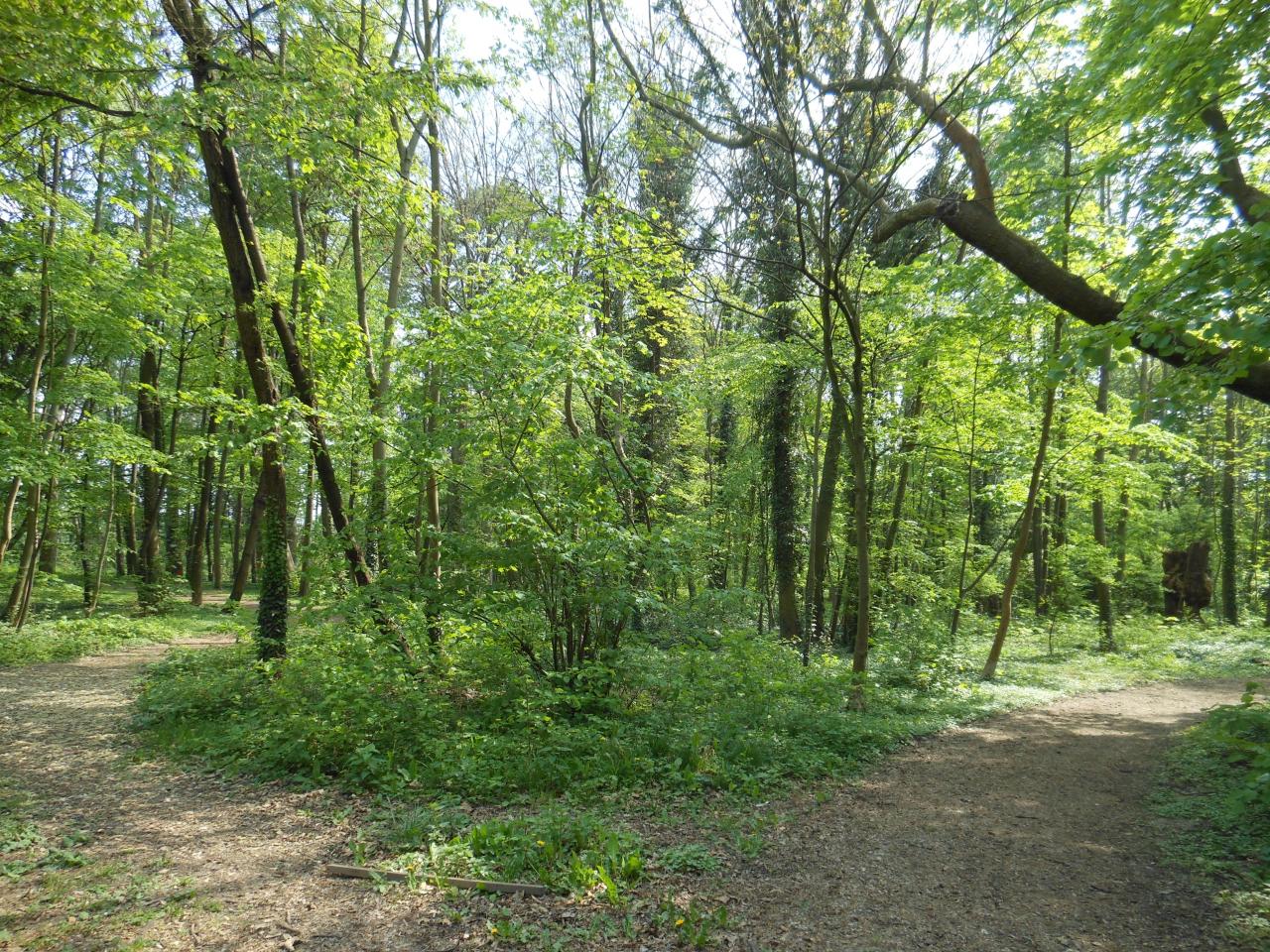 Parc naturel urbain