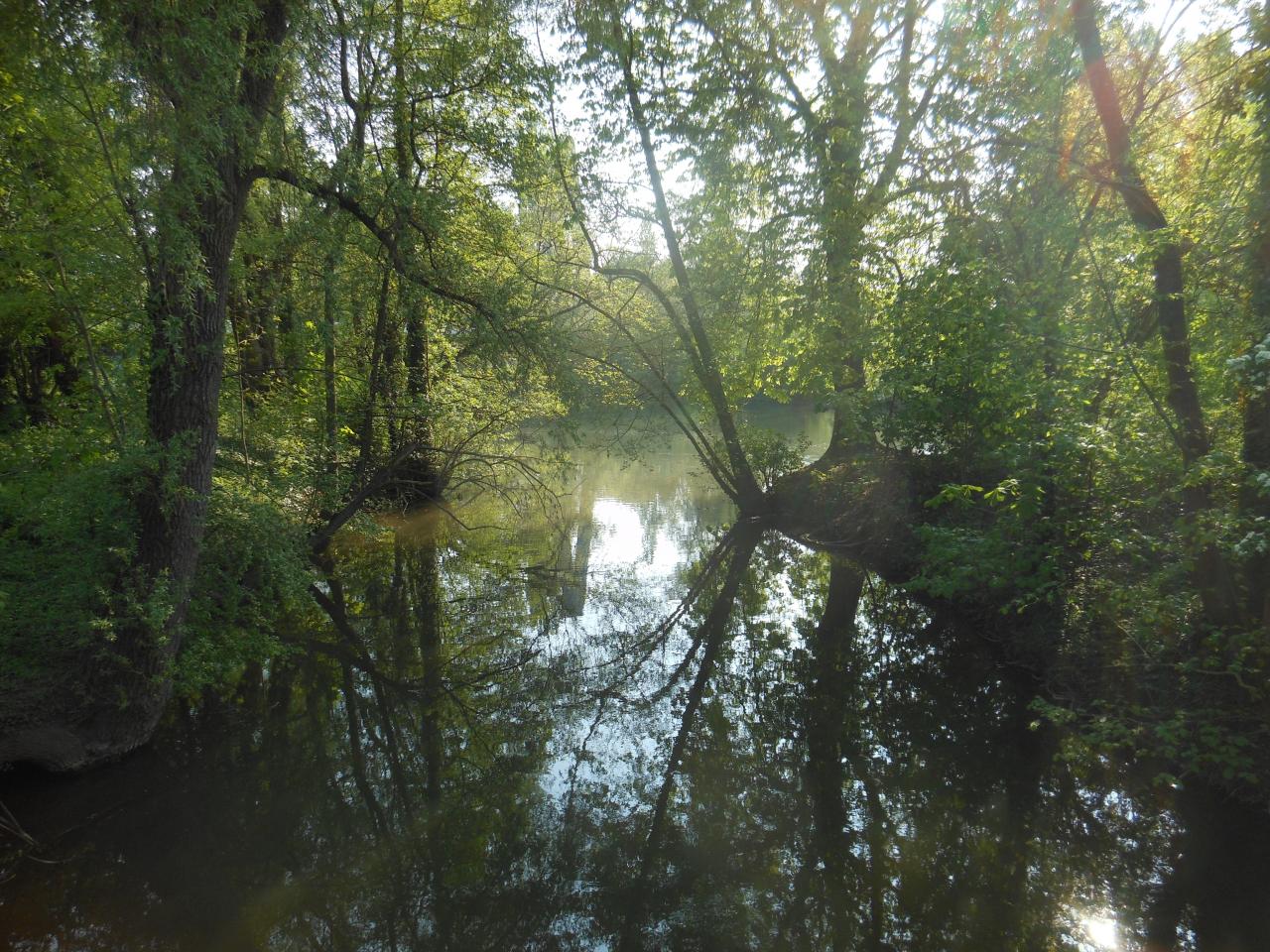 Confluence Ill-Bruche