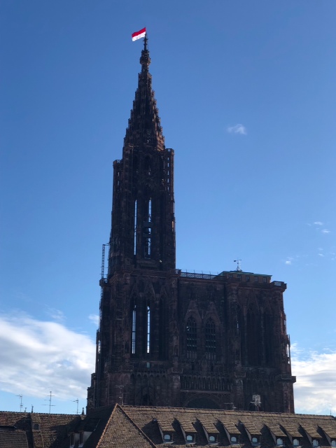 Cathédrale de Strasbourg le 11/11/2018